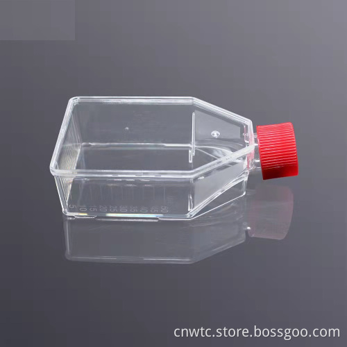 Disposable Sterilized Tissue Culture Treated Flask with Vented Cap - 25cm²